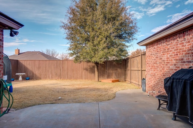 view of yard featuring a patio