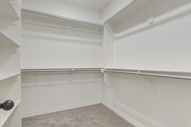 spacious closet featuring light colored carpet