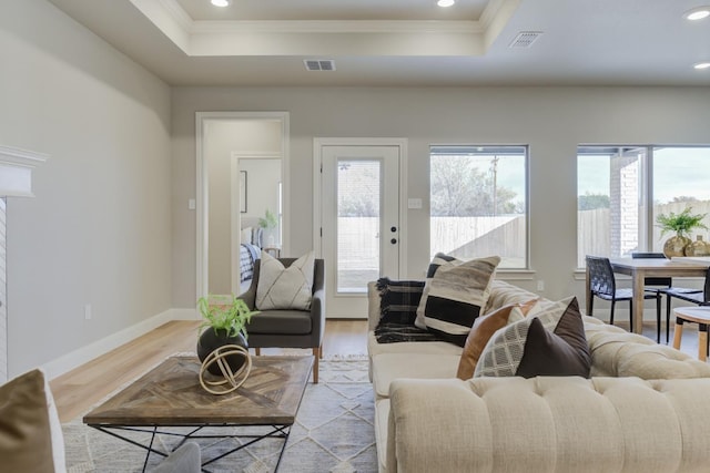 living room featuring a raised ceiling, crown molding, and light wood-type flooring