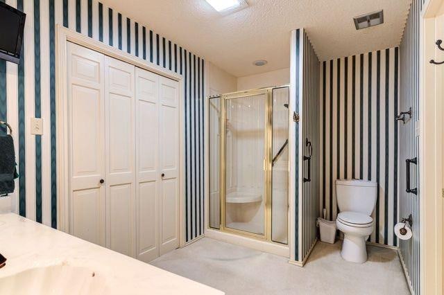 bathroom featuring an enclosed shower, vanity, a textured ceiling, and toilet