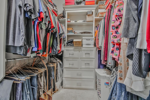 spacious closet with light colored carpet