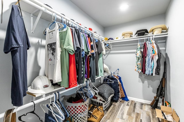 spacious closet with hardwood / wood-style flooring