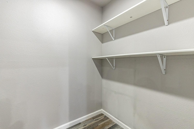 spacious closet with wood-type flooring