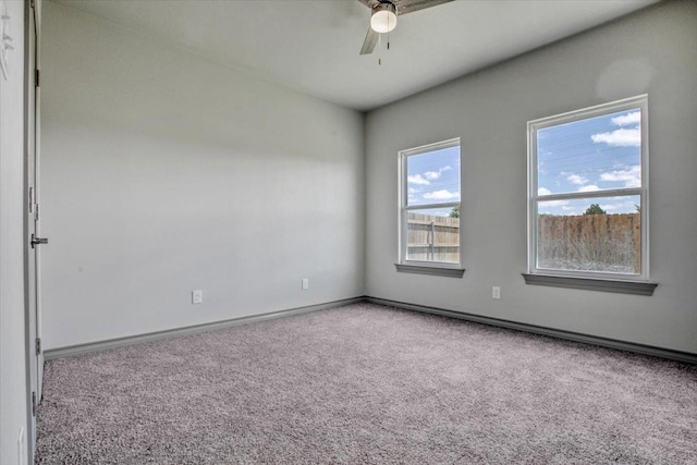 unfurnished room featuring ceiling fan and carpet flooring