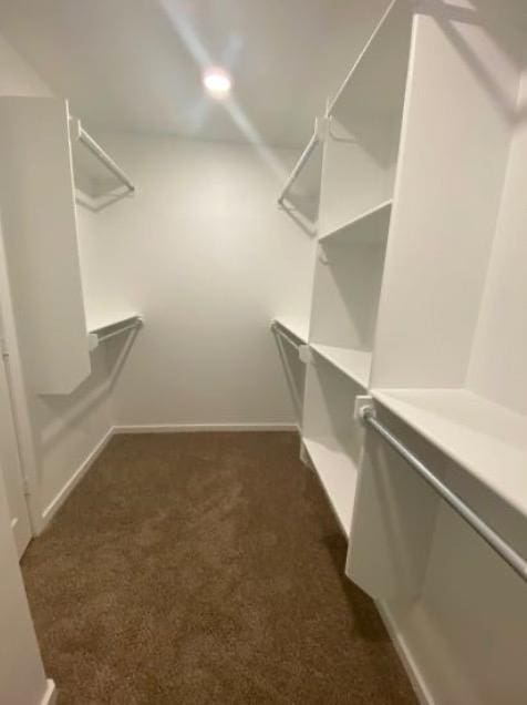 walk in closet featuring dark carpet