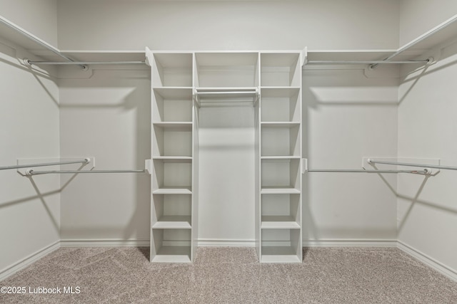 5303 Lehigh St, Lubbock, TX 79416 - walk in closet with carpet