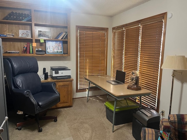 office featuring light colored carpet and a textured ceiling