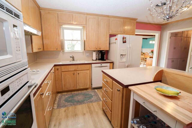kitchen featuring under cabinet range hood, white appliances, butcher block countertops, a sink, and light wood-style floors