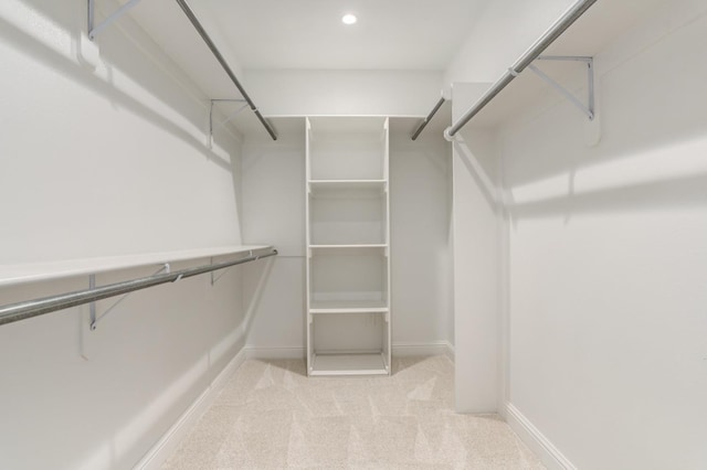 spacious closet with light colored carpet