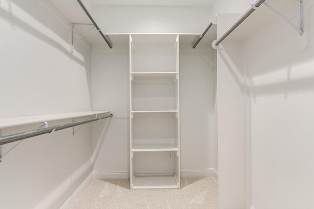 walk in closet with light colored carpet