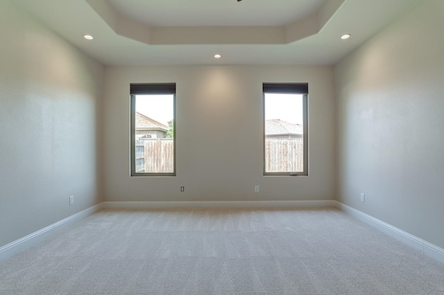 carpeted spare room with a raised ceiling