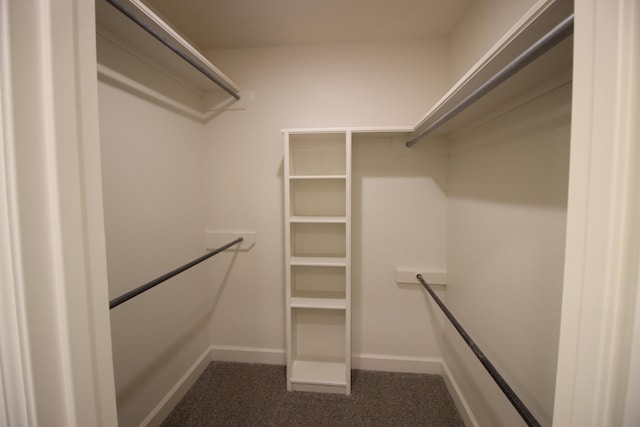 walk in closet with dark colored carpet