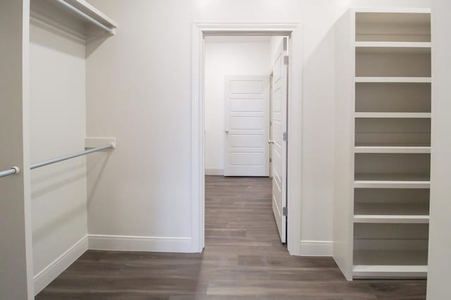 walk in closet featuring dark wood-type flooring