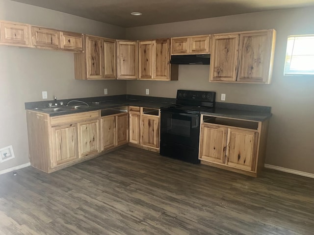 kitchen with black range with electric cooktop, dark hardwood / wood-style floors, and sink