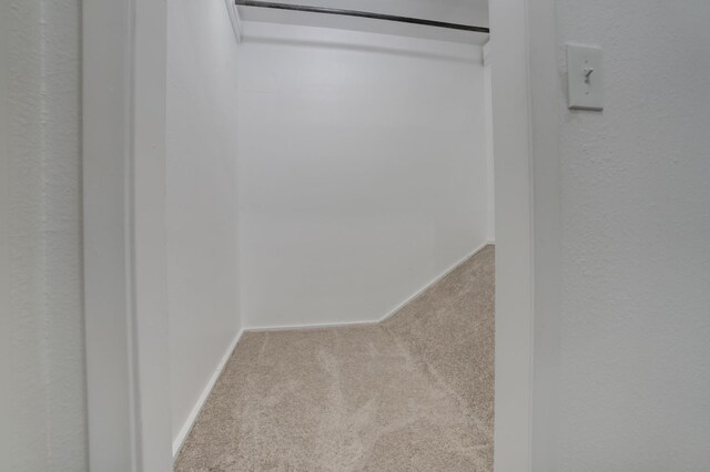 spacious closet with light carpet