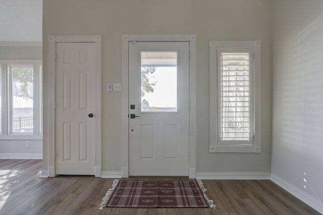 entrance foyer with wood-type flooring and a wealth of natural light