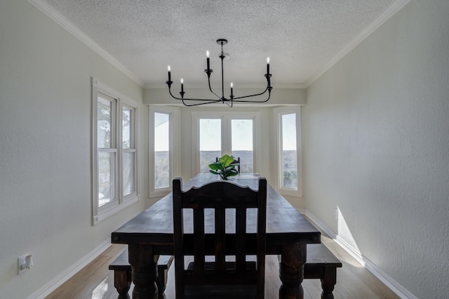 dining room featuring a notable chandelier, hardwood / wood-style flooring, ornamental molding, and a healthy amount of sunlight