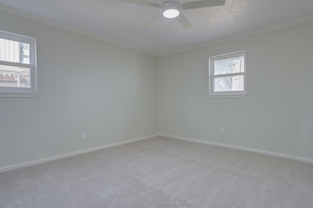 carpeted empty room with crown molding, ceiling fan, and a textured ceiling