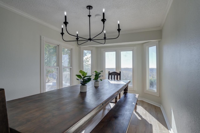 dining space featuring an inviting chandelier, crown molding, wood-type flooring, and a wealth of natural light