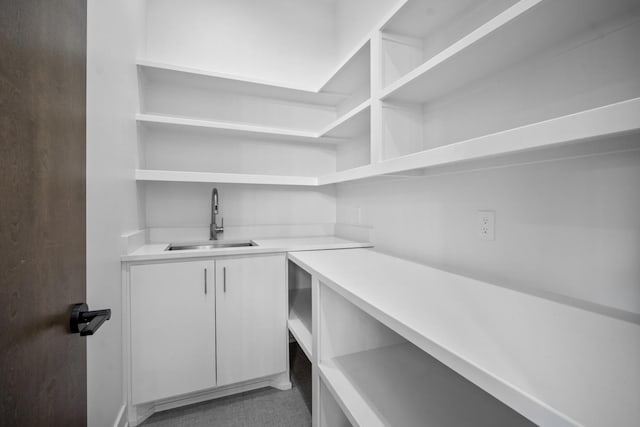 pantry with sink