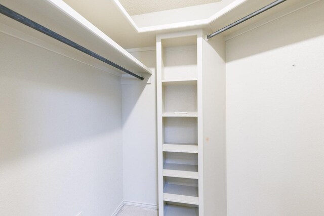 view of walk in closet