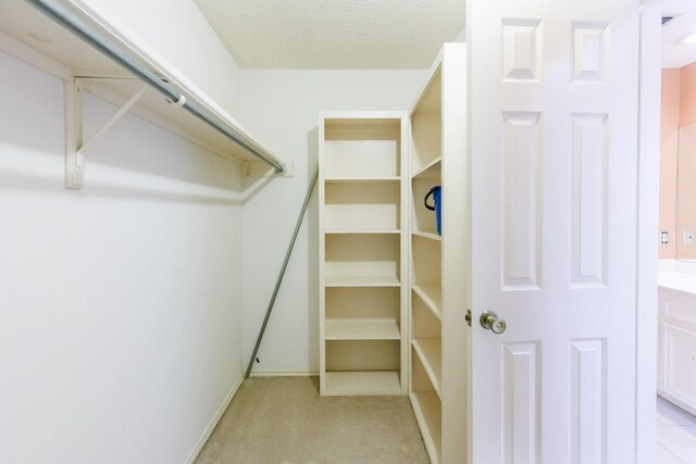 spacious closet featuring light carpet