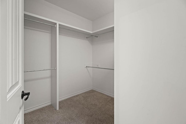 walk in closet featuring light carpet