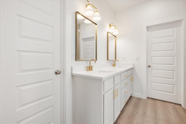 bathroom featuring wood-type flooring and vanity