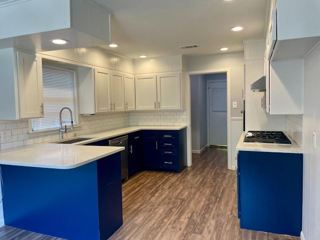 kitchen featuring blue cabinetry, sink, white cabinetry, dark hardwood / wood-style flooring, and stainless steel appliances