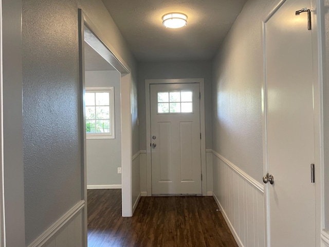 doorway to outside featuring dark wood-type flooring