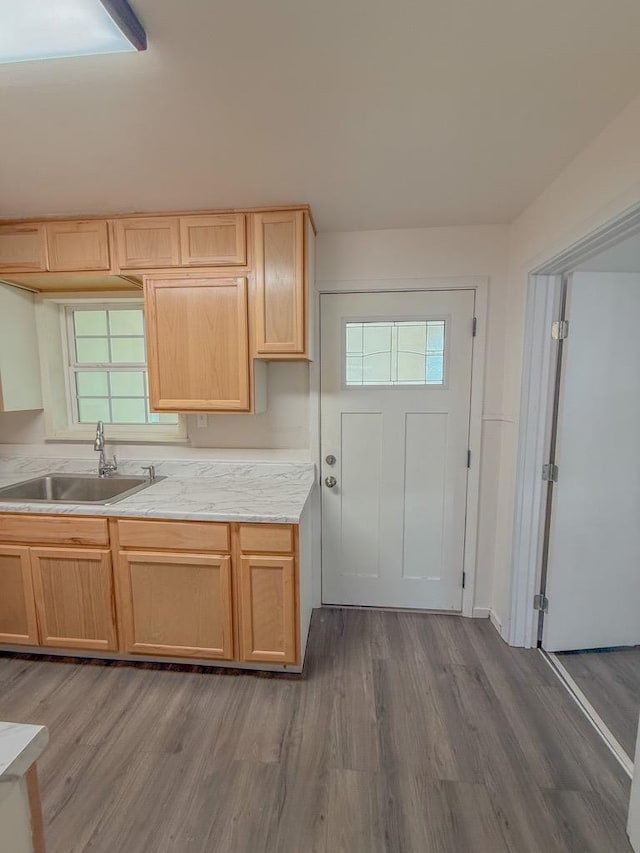 kitchen with dark hardwood / wood-style flooring, sink, and light brown cabinetry