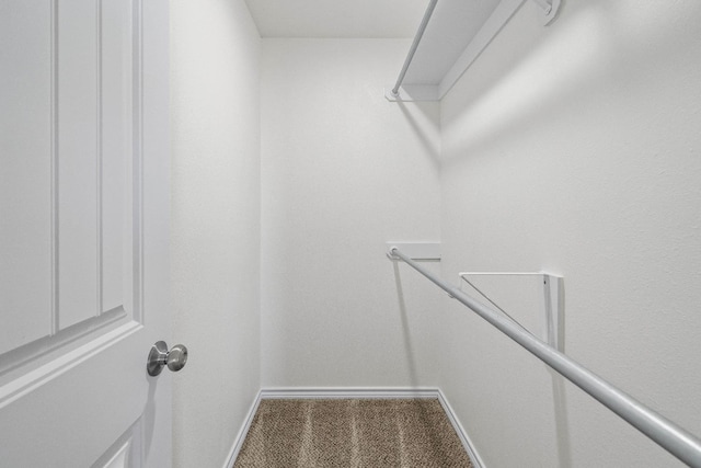 spacious closet with carpet