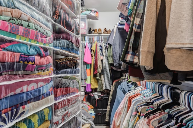 view of spacious closet