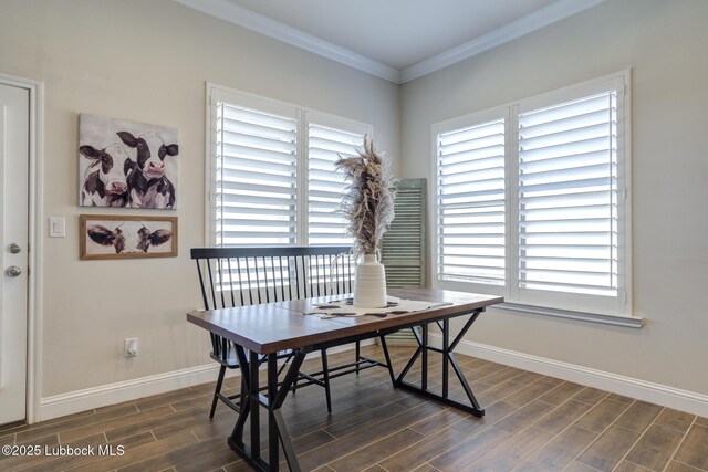 7204 90th St, Lubbock, TX 79424 - office with baseboards, ornamental molding, healthy amount of natural light, and dark wood-type flooring