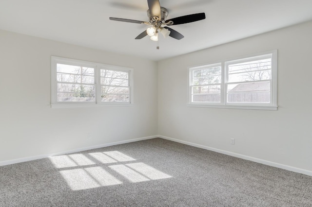 empty room with ceiling fan, carpet, and a wealth of natural light