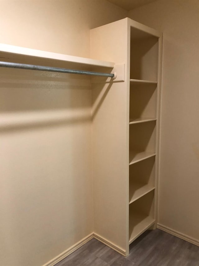 spacious closet featuring dark hardwood / wood-style floors