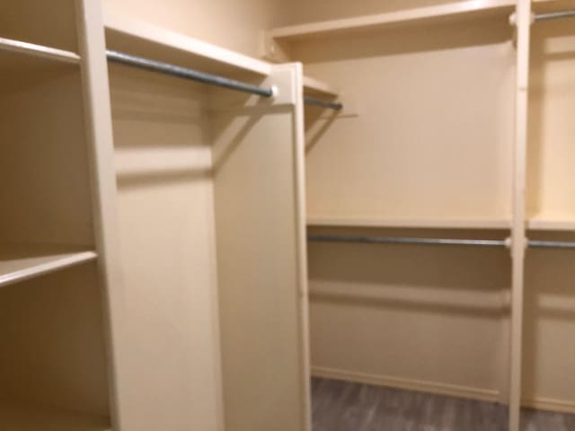 spacious closet featuring dark wood-type flooring