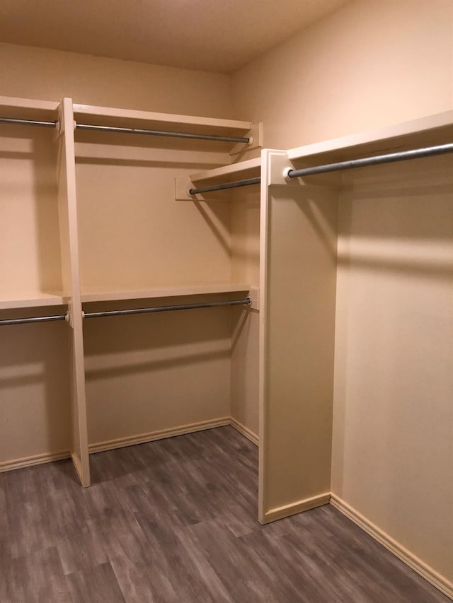 walk in closet featuring dark wood-type flooring