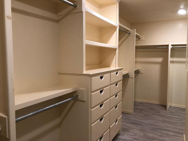 walk in closet featuring dark hardwood / wood-style floors