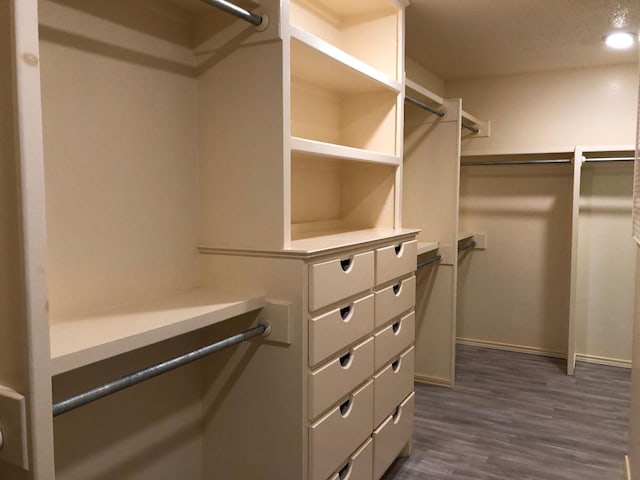 spacious closet with dark hardwood / wood-style flooring