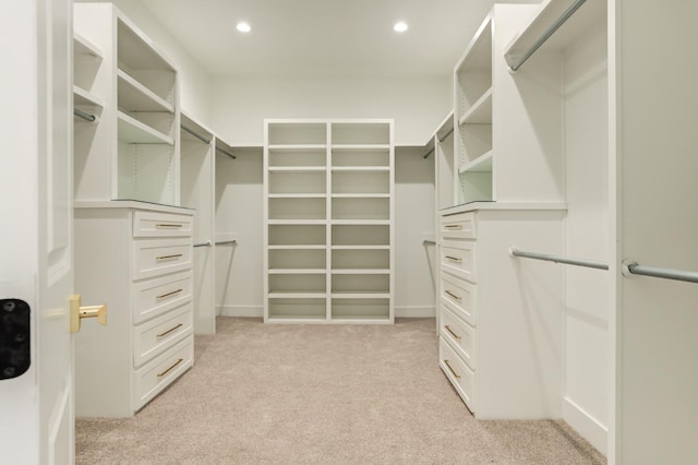 spacious closet with light carpet