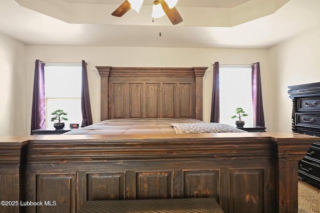 11104 Englewood Ave, Lubbock, TX 79424 - bedroom featuring ceiling fan, a raised ceiling, and multiple windows