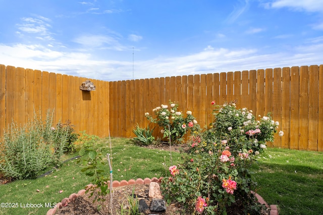 3222 Waverly Ave, Lubbock, TX 79407 - view of yard