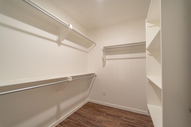 walk in closet with dark hardwood / wood-style floors