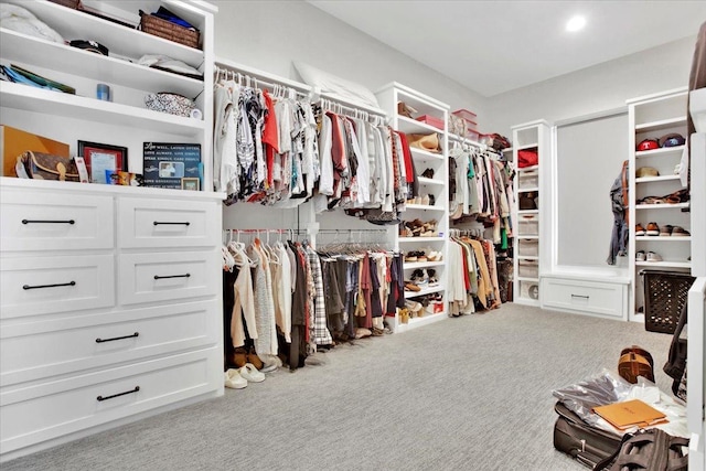 spacious closet with light colored carpet