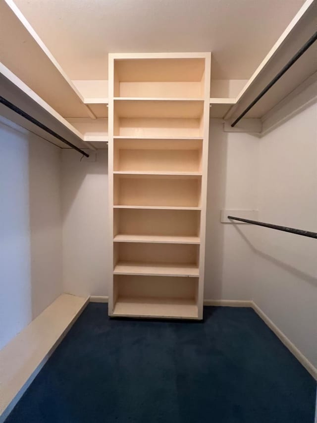 spacious closet with carpet flooring