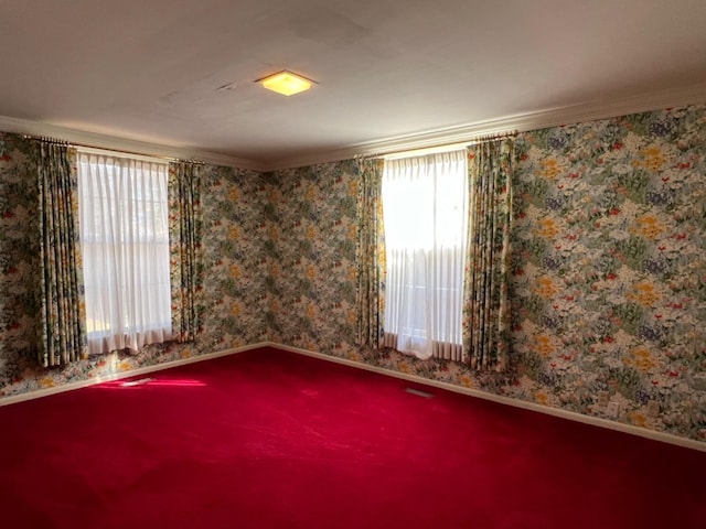 spare room featuring ornamental molding and a healthy amount of sunlight