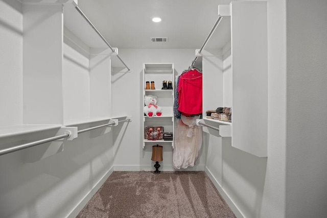 walk in closet with carpet floors