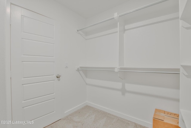 2933 Abbeville Ave, Wolfforth, TX 79382 - spacious closet featuring carpet