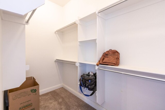 spacious closet with light colored carpet